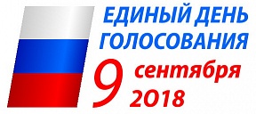 Выборы Депутатов Государственной Думы Федерального Собрания Российской Федерации седьмого созыва
